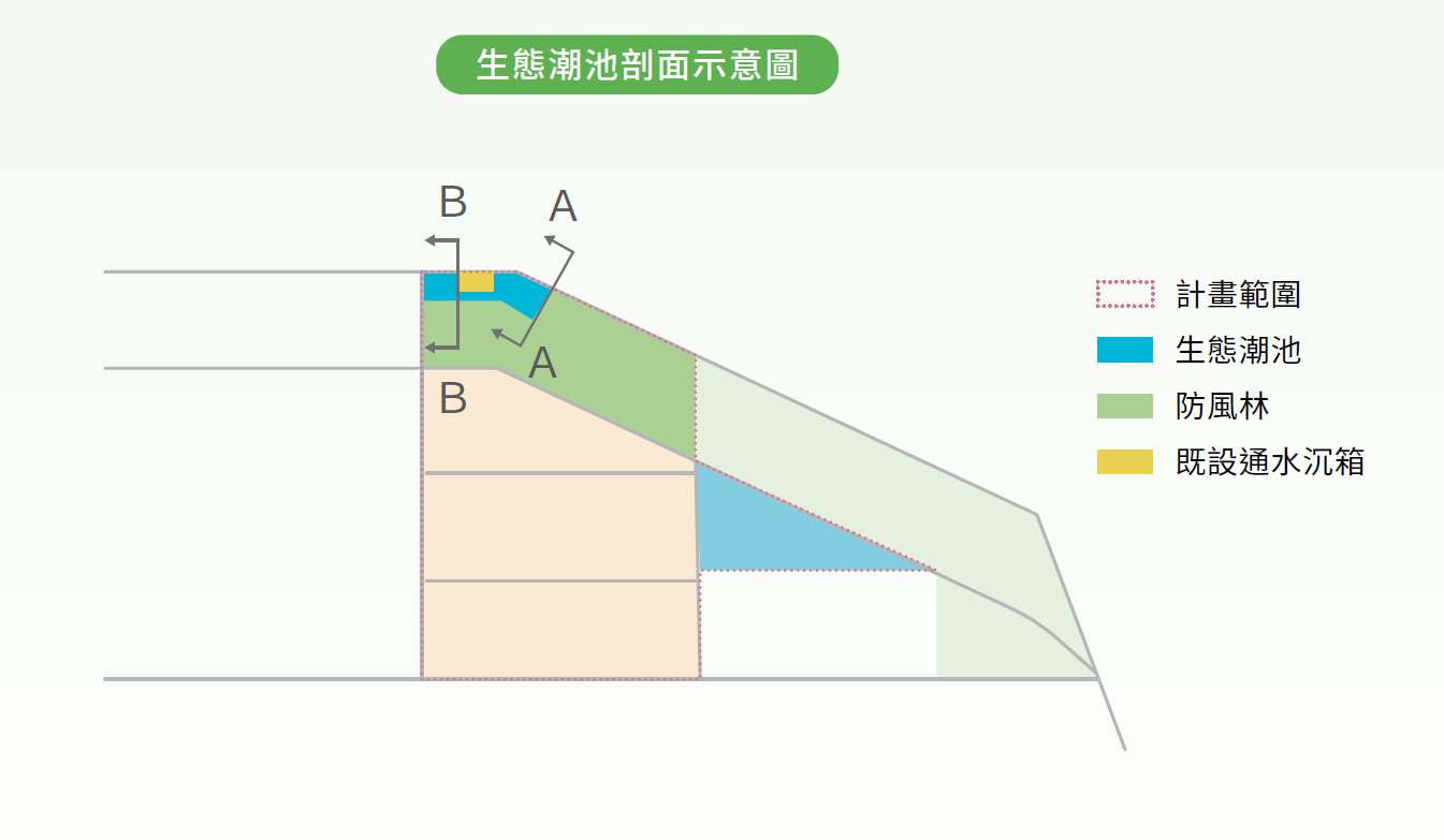 臺北港生態潮池剖面示意圖